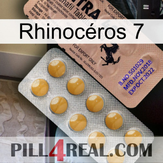 Rhinocéros 7 41